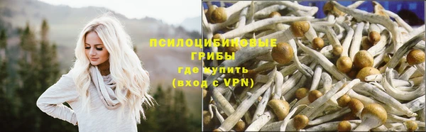 меф Бородино