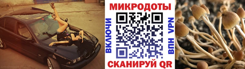 Псилоцибиновые грибы GOLDEN TEACHER  купить закладку  Северск 