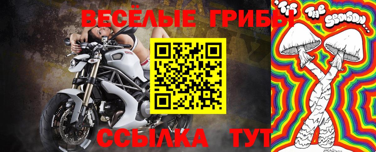 Псилоцибиновые грибы Magic Shrooms  Вход с VPN  Северск  Псилоцибиновые грибы мицелий 