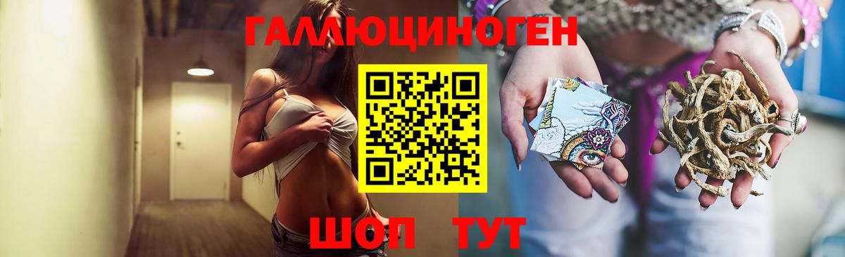 Галлюциногенные грибы прущие грибы Северск